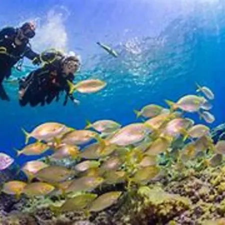 Bonito Sea View Playa Jardin Lejlighed *