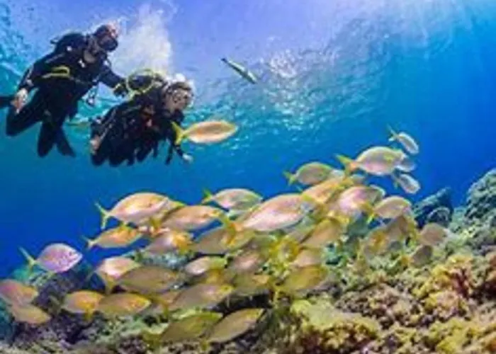 Bonito Sea View Playa Jardin Apartament